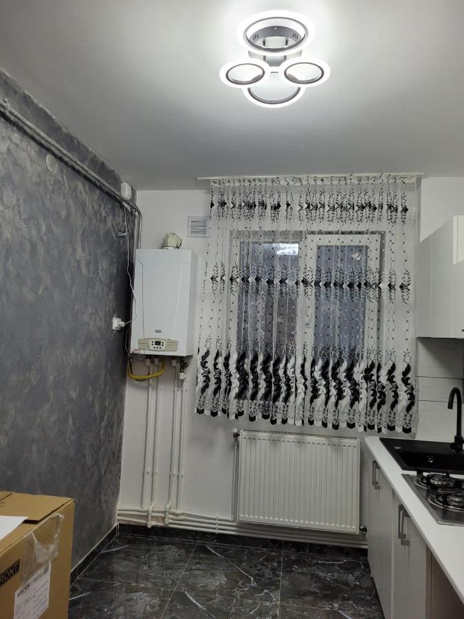 Apartament Regim Hotelier 2 ヤシ エクステリア 写真