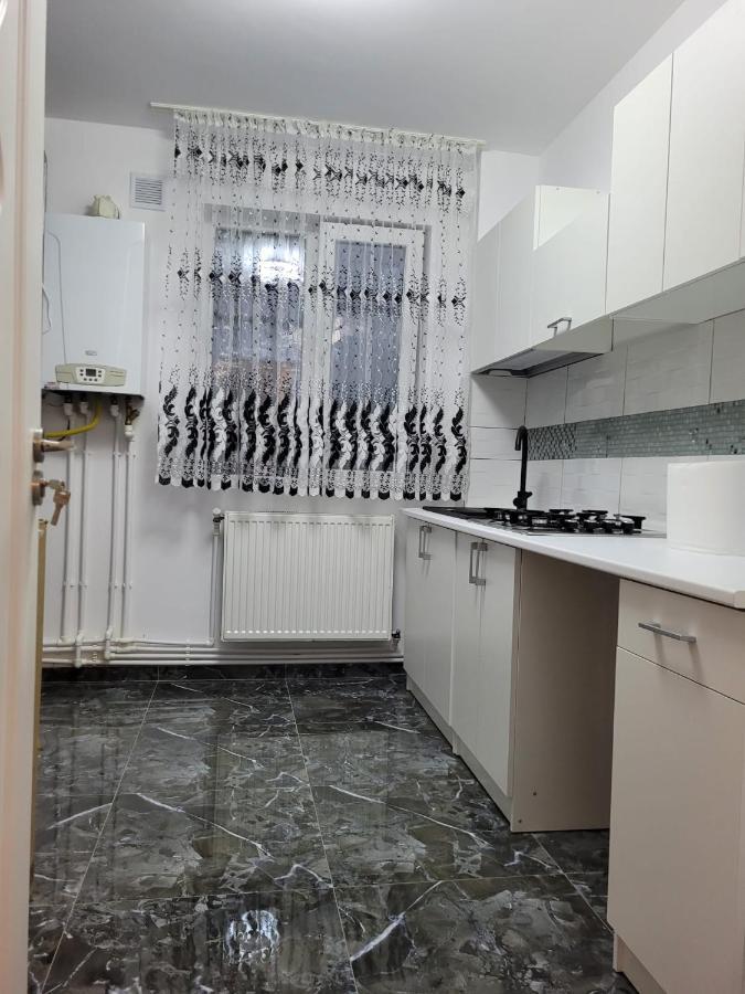 Apartament Regim Hotelier 2 ヤシ エクステリア 写真